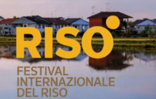 RISò UPO alumni